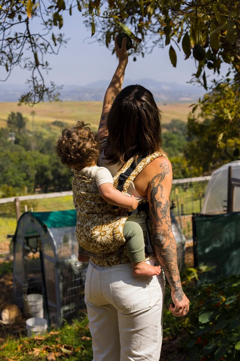 Tula Free-to-Grow Baby Carrier Hemp Mariam