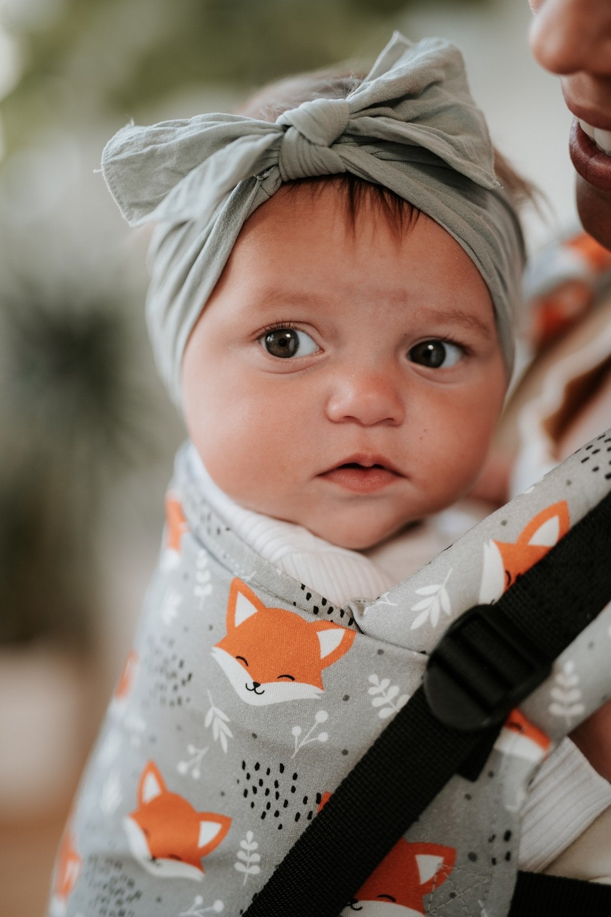 Fox Trot - Tula Free-to-Grow Baby Carrier - Baby Tula UK