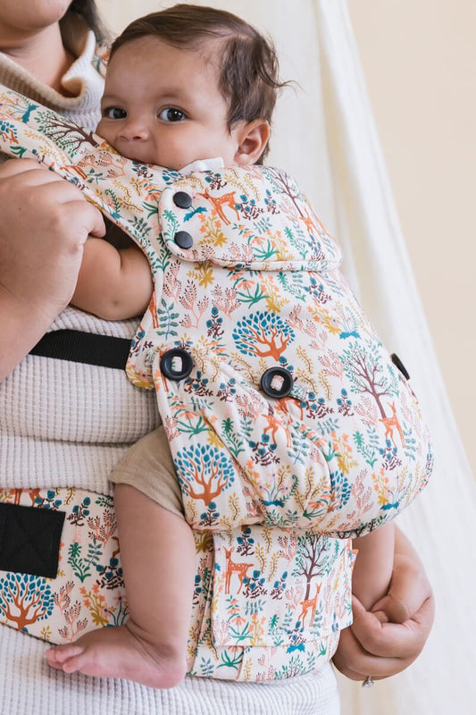 Tula Charmed Explore Baby Carrier