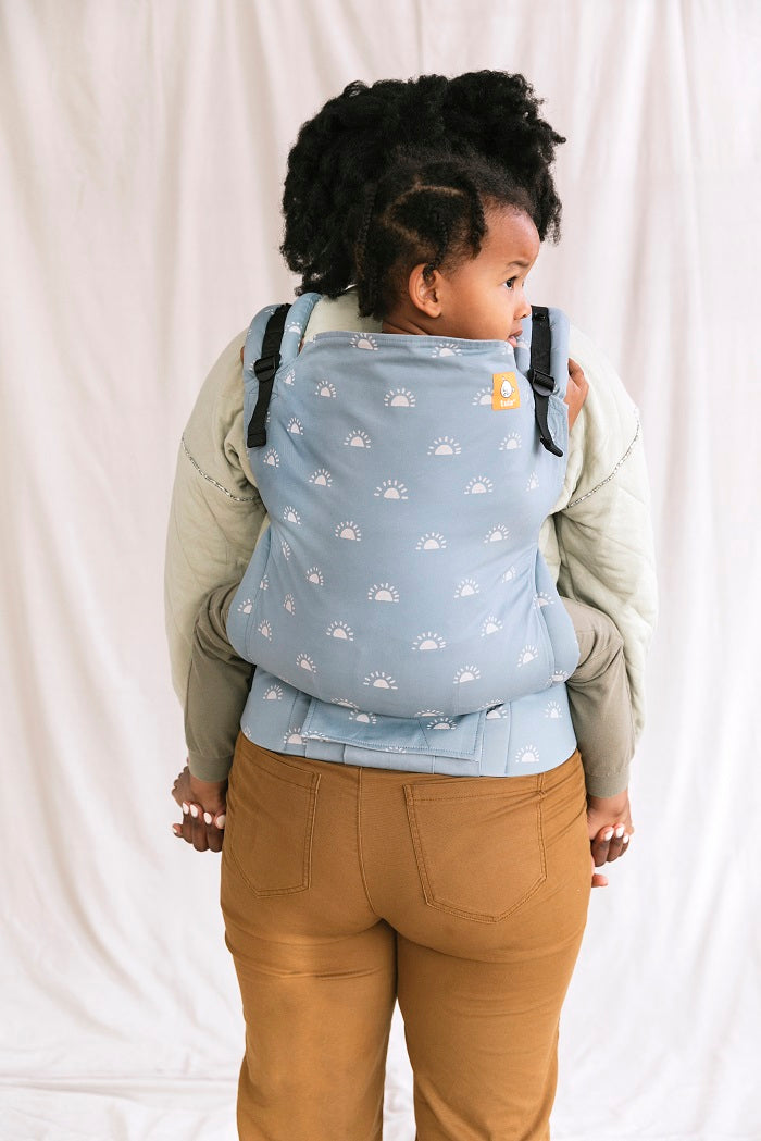 A mother and her Toddler using the ergonomic Toddler Carrier Harbor Skies in a back carry position.