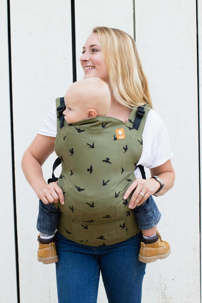 A mother and her Toddler using the Tula Toddler Carrier Soar in front-carry position.